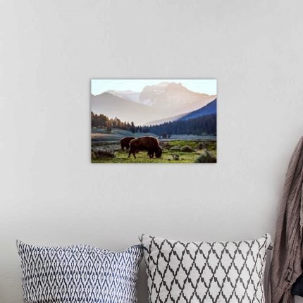 Valley Gold: A Serene Rustic Bison Wall Art for Your Mountain Home
