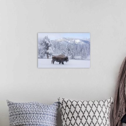 Frostbound Wanderer: A Majestic Wildlife Bison Wall Art for Winter Decor