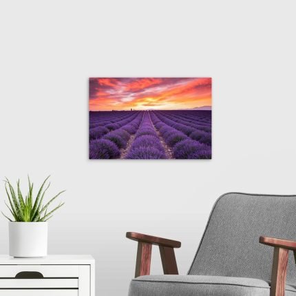 Provence Fire: A Vibrant and Romantic Lavender Landscape Wall Art