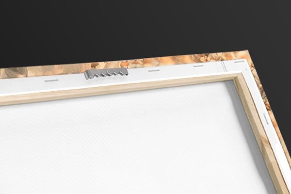 Back of the canvas showing a pre-installed sawtooth hanger and neat frame