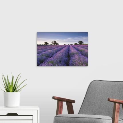 Lavender Horizon: A Serene Rustic Landscape Wall Art Print
