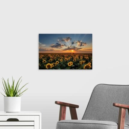Golden Sea: A Vibrant and Epic Sunflower Field Landscape Wall Art