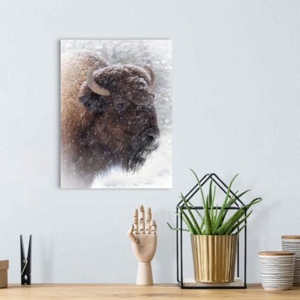 Winter Stoic: A Majestic Wildlife Bison Wall Art for Your Cabin