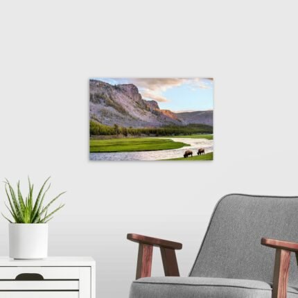 Golden Hour Grazing: A Serene Landscape Bison Wall Art for Your Home
