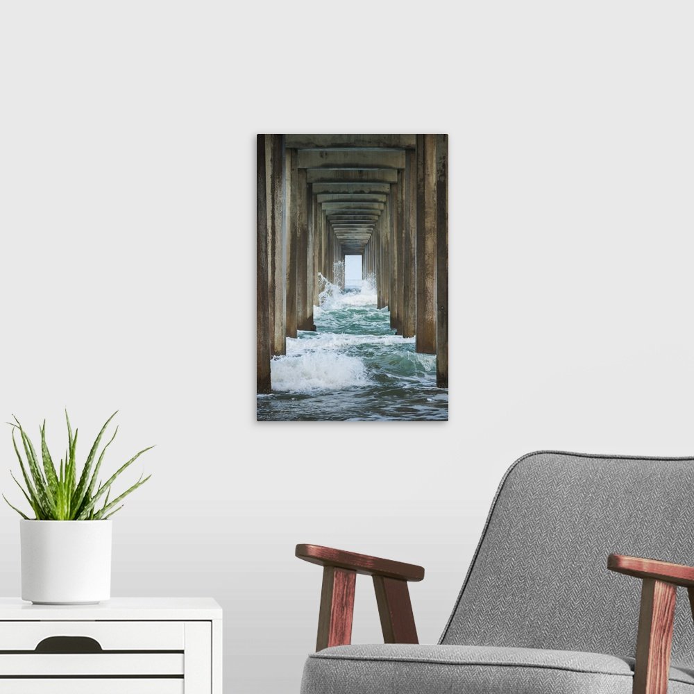 Canva47-PrinP47-1334