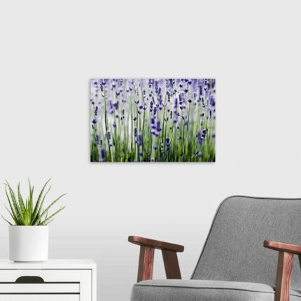 Violet Whisper: A Modern Botanical Lavender Wall Art for Serene Spaces