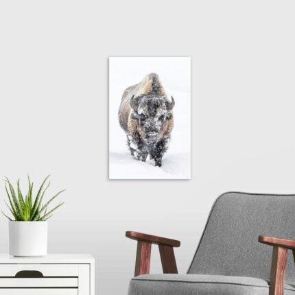 Solitary Trek: A Dramatic Minimalist Bison Wall Art for Modern Spaces
